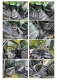 Ogłoszenie - Syndyk sprzeda Ford Kuga TDCi rok 2008. Miniaturka 4