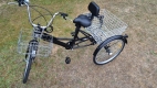Ogłoszenie - Rower Trzykołowy. Miniaturka 5