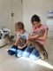 Ogłoszenie - Kocięta Savannah i Serwal. Miniaturka 5