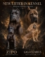 Ogłoszenie - Cane Corso piękne szczenięta. Miniaturka 1