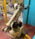 Ogłoszenie - Robot przemysłowy Kawasaki UX 120 – automatyzacja. Miniaturka 6