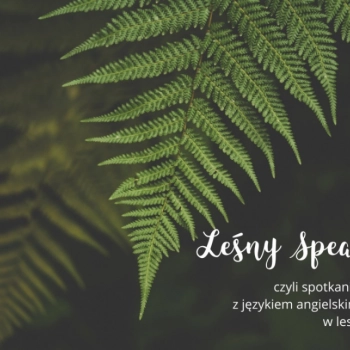 Ogłoszenie - Leśny Speak, czyli angielski w lesie!