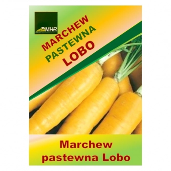 Ogłoszenie - Nasiona marchwi pastewnej - LOBO - 4,40 zł