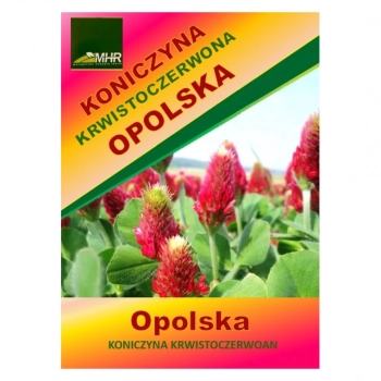 Ogłoszenie - Nasiona koniczyny krwistoczerwonej-OPOLSKA (inkarnatka) - 22,60 zł