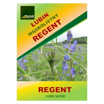 Ogłoszenie - Nasiona łubinu wąskolistnego Regent C/1 - 82,50 zł