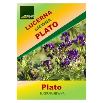 Ogłoszenie - Nasiona lucerny siewnej Plato C/1 - 13,40 zł