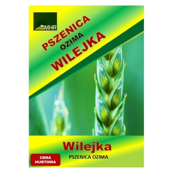 Ogłoszenie - Nasiona pszenicy ozimej - WILEJKA hurt(1 tona) - 1,00 zł