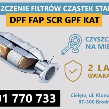 Ogłoszenie - DPF czyszczenie filtrów katalizatorów skuteczność 99% - Kujawsko-pomorskie - 390,00 zł