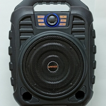 Ogłoszenie - Przenośne karaoke Głośnik Bluetooth z mikrofonem bezprzewodowym - 250,00 zł