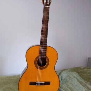 Ogłoszenie - Takamine G124 NOWA gitara klasyczna B Stock Dobry instrument !! - 564,00 zł