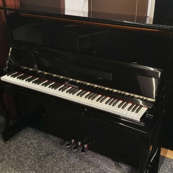 Ogłoszenie - nowe pianino akustyczne (możliwość montażu systemu samograj PianoDisc) 19 900 zł - 19 900,00 zł