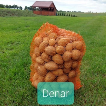 Ogłoszenie - Ziemniaki jadalne Vineta, Jelly, Denar, Bellarosa 1,5 zł/kg - 1,50 zł