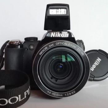 Ogłoszenie - Nikon Coolpix P90 z torbą podróżną i zapasową baterią - 200,00 zł