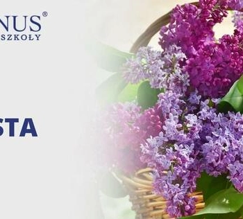 Ogłoszenie - Florysta - Cosinus Gdynia