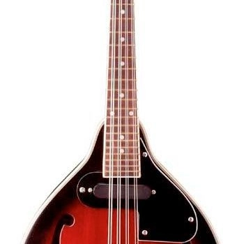 Ogłoszenie - Stagg M 50 E - mandolina elektroakustyczna