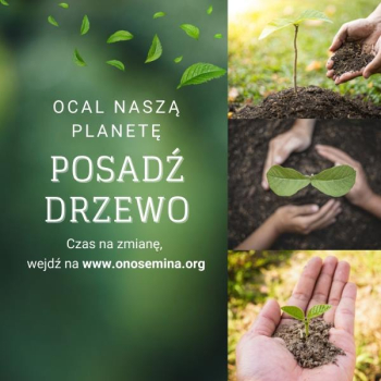 Ogłoszenie - Sadzenie drzew z organizacją, która zrobi to za Ciebie - Łódzkie