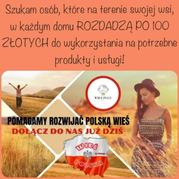 Ogłoszenie - Praca od zaraz. Umowa, nie mlm. - Bydgoszcz