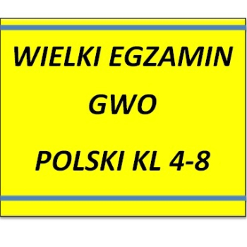 Ogłoszenie - Wielki Egzamin klasa 4-8 GWO  polski i historia - 15,00 zł