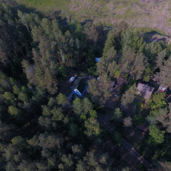 Ogłoszenie - Domek w środku lasu, blisko jeziora, ogrodzony - 390 000,00 zł