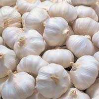 Ogłoszenie - fresh garlic (Fresh Garlic 01) - Hrubieszów - 8,00 zł