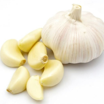 Ogłoszenie - Fresh Peeled Garlic - Międzyrzecz - 9,00 zł