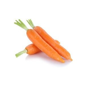 Ogłoszenie - Organic Fresh Carrot, for Food, Juice, Pickle, Packaging - 100,00 zł