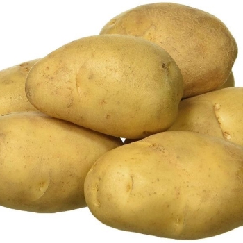 Ogłoszenie - fresh potato - Gryfino - 100,00 zł