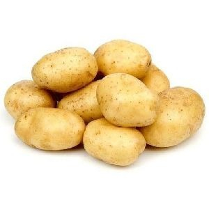 Ogłoszenie - Fresh potato - Wielkopolskie - 100,00 zł