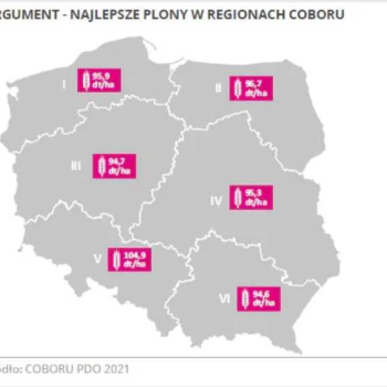 Ogłoszenie - Pszenica Ozima ARGUMENT - Oficjalny Rekord Polski w Plonowaniu Nasiona - Wielkopolskie - 2 650,00 zł