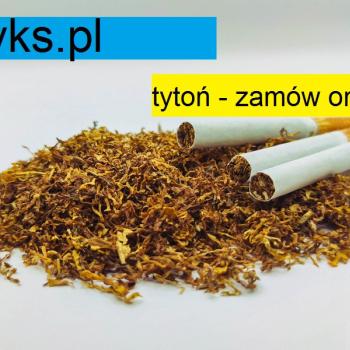 Ogłoszenie - Polski tytoń sklepowej jakości, czysty, suchy, bez kołków - 80zł za kg - 80,00 zł