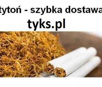 Ogłoszenie - Tyton papierosowy bez dodatków - 100% naturalny. Tani tytoń Marlboro, LM, Camel - 80,00 zł