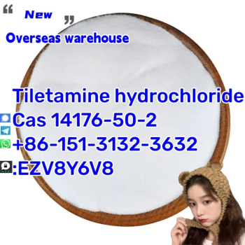 Ogłoszenie - Tiletamine hydrochloride  Cas 14176-50-2 whatspp+86-151-31323632 - Świętokrzyskie - 10,00 zł