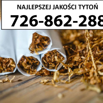Ogłoszenie - Znakomity Tytoń jakość PREMIUM 65PLN/1KG - 65,00 zł