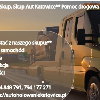Ogłoszenie - Złomowanie pojazdów i skup samochodów, złomowanie aut za gotówkę Ruda Śląska - Śląskie