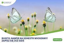 Ogłoszenie - Bezpłatne Szkoły Policealne Cosinus w Inowrocławiu - Inowrocław
