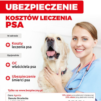 Ogłoszenie - ubezpieczenie kosztów leczenia psa - 36,00 zł