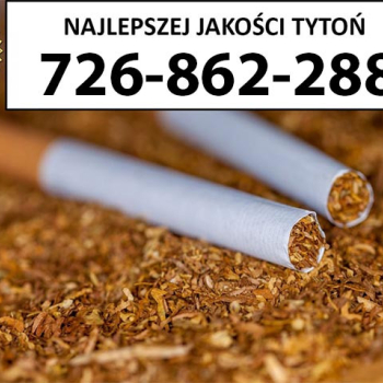 Ogłoszenie - Znakomity Tytoń jakość PREMIUM 75PLN/1KG - Podkarpackie - 75,00 zł