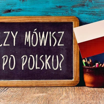 Ogłoszenie - NAUKA POLSKIEGO - POLISH LANGUAGE FOR FOREIGNERS - Mazowieckie - 1,00 zł