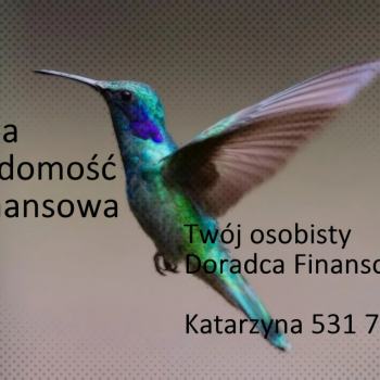 Ogłoszenie - Różne Sytuacje=Różne Rozwiązania Finansowe / Skontaktuj się - Małopolskie