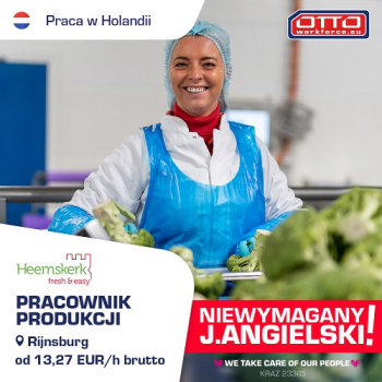 Ogłoszenie - Przygotowywanie sałatek i pudełek z owocami w Heemskerk | BEZ j. ang! - Zagranica