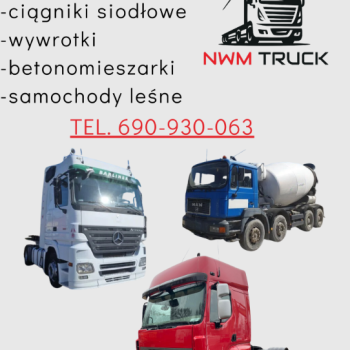 Ogłoszenie - Skup aut ciężarowych - 123,00 zł