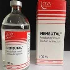 Ogłoszenie - Nembutal sodium pentobarbital - Lubelskie - 250,00 zł