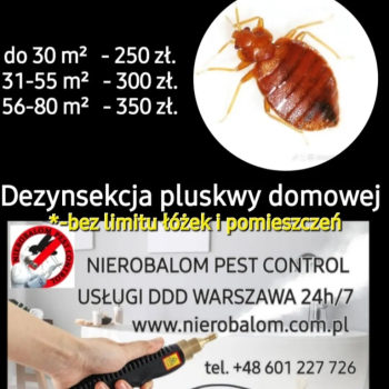 Ogłoszenie - Dezynsekcja zwalczające pluskwy domowe - Mazowieckie - 250,00 zł