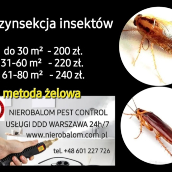 Ogłoszenie - Dezynsekcja zwalczające insekty z rodziny karaczana wschodniego. - Mazowieckie - 200,00 zł