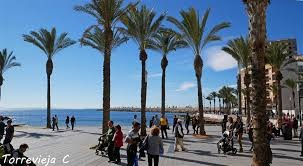 Ogłoszenie - *Oferuję > Costa Blanca dla 2-osób! > Plaża, Palmy, Słońce + Morze. - Hiszpania