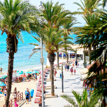 Ogłoszenie - *Oferuję > Costa Blanca dla 2-osób! > Plaża, Palmy, Słońce + Morze. - Zagranica
