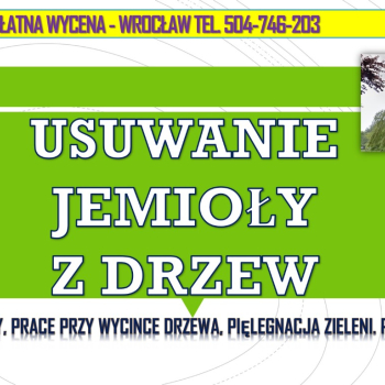 Ogłoszenie - Usuwanie jemioły z drzew, tel. 504-746-203. Wrocław, Jemioła wycinka,  Pielęgnacja drzew i wycinka jemioły - Wrocław