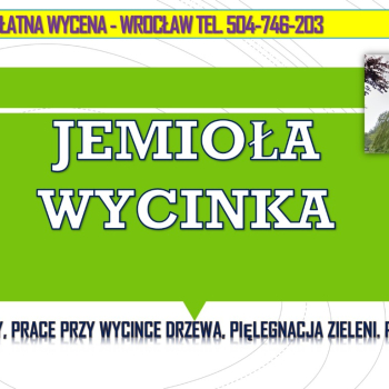 Ogłoszenie - Usuwanie jemioły z drzew, tel. 504-746-203. Wrocław, Jemioła wycinka,  Pielęgnacja drzew i wycinka jemioły