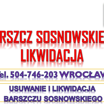 Ogłoszenie - Usuwanie barszczu Sosnowskiego, cena, tel 504-746-203, Wrocław, likwidacja, zwalczanie, utylizacja , usunięcie, barszczu - Wrocław