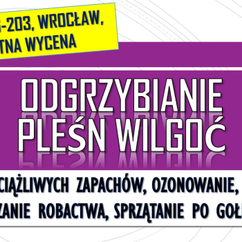 Ogłoszenie - Odgrzybianie pomieszczeń, cena, tel. 504-746-203, Wrocław. Likwidacja pleśni. Ozonowanie i usuwanie wilgoci. Osuszanie. - Dolnośląskie